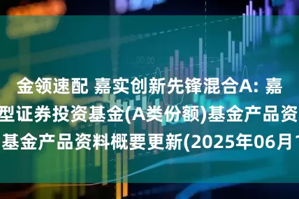 金领速配 嘉实创新先锋混合A: 嘉实创新先锋混合型证券投资基金(A类份额)基金产品资料概要更新(2025年06月11日)
